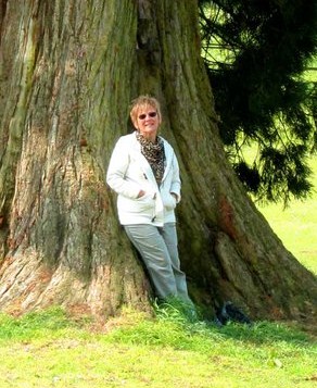 Redwood Artwork by Penny Jones